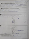 Sürgős,8 osztály biologia – megoldás kép 1