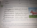 A jelzők, a jelzés szószerkezet – megoldás kép 1