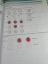 Biologia – megoldás kép 1
