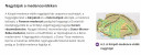 SOS! – megoldás kép 1