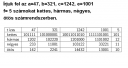 Algebrai számelmélet – megoldás kép 1