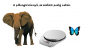 Valaki segítsen  – megoldás kép 1