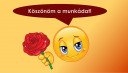 SOS MATEK – megoldás kép 4