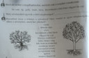 SOS természet – megoldás kép 1