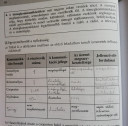 Kommunikáció és tömegkommunikáció – megoldás kép 2