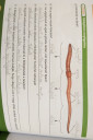 A gyűrűsférgek törzse – megoldás kép 1