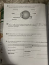 BIOLÓGIA HÁZI JEGYRE . Sos – megoldás kép 1
