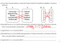 Matematika 7. hol talalom meg az eredetit? – feladat kép 6