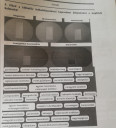  Húzd a különféle hulladékkezeléssel kapcsolatos kifejezéseket a megfelelő halmazba!  – feladat kép 1