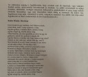 Irodalom dolgozatba kéne segítség mert nagyon nem értem.. – feladat kép 1