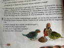 Kérem valaki segítsen megoldani ezt az egyenletet mert nem értem. – feladat kép 1