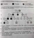 Nagyon nem értem a biológiát kérem valaki segítsen – feladat kép 1