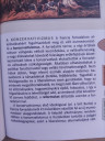 Jegyzetelés – feladat kép 3