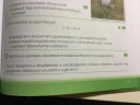 Nyelvtan HATÁROZÓK – feladat kép 1