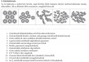 Kísérlet – feladat kép 1