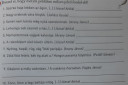 Nyelvtan megoldások? – feladat kép 1