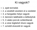 Ki vagyok? – feladat kép 1