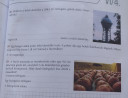 SOS,Matek  – feladat kép 2