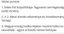 SEGÍTSETEK TÖRTÉNELEM VÁZLAT ÍRÁS.SOS!!  – feladat kép 1