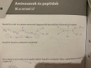 Aminosavak és peptidek – feladat kép 2