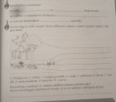 SOS természet – feladat kép 1