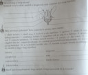 SOS természet – feladat kép 1
