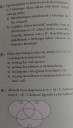 Matematika (SOS) – feladat kép 1