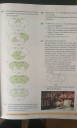 Matematika 9. osztály - Halmazok, kombinatorika – feladat kép 1