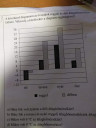Légyszi segítsetek – feladat kép 1