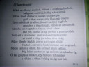 Új leoninusok 4 – feladat kép 2