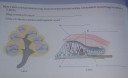 11-es biológiában kérek segítséget – feladat kép 1