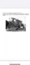 Valaki tud segiteni? – feladat kép 1