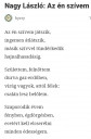 Magyar házi SOS! – feladat kép 1