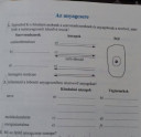 Biológia 8 osztály munkafüzet tudna valaki segíteni. Köszönöm !! – feladat kép 2