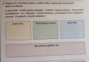 József Attila és Szabó Lőrinc – feladat kép 1