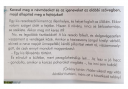 Kéne gyorsan segítség !SOS! – feladat kép 2