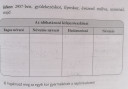 Nyelvtan  – feladat kép 1