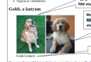 Informatika 9.o. weblap szerkesztés – feladat kép 1