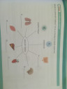 Biológia sos – feladat kép 1