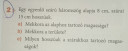 Háromszögek kerülete, területe  – feladat kép 1