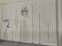 Idegrendszerünk felépítése  – feladat kép 1