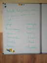 Magyar nyelv segítség!:( – feladat kép 1