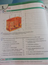 Biológia SOS!  – feladat kép 1